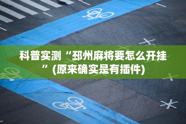 科普实测“邳州麻将要怎么开挂”(原来确实是有插件)