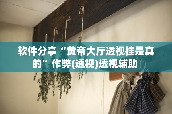 软件分享“黄帝大厅透视挂是真的”作弊(透视)透视辅助 