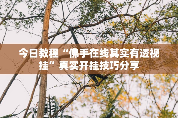 今日教程“佛手在线其实有透视挂”真实开挂技巧分享