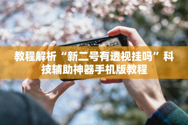 教程解析“新二号有透视挂吗”科技辅助神器手机版教程
