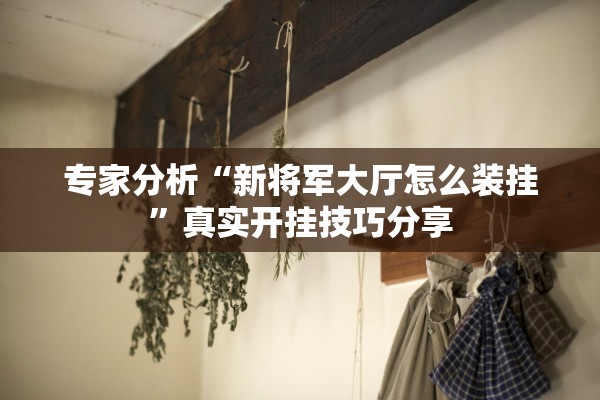 专家分析“新将军大厅怎么装挂”真实开挂技巧分享