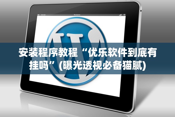 安装程序教程“优乐软件到底有挂吗”(曝光透视必备猫腻)
