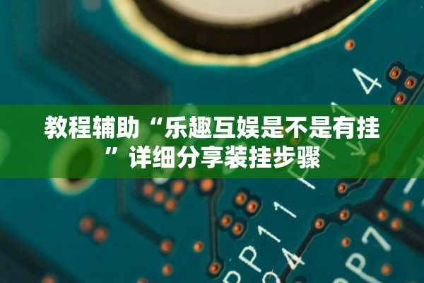 教程辅助“乐趣互娱是不是有挂”详细分享装挂步骤