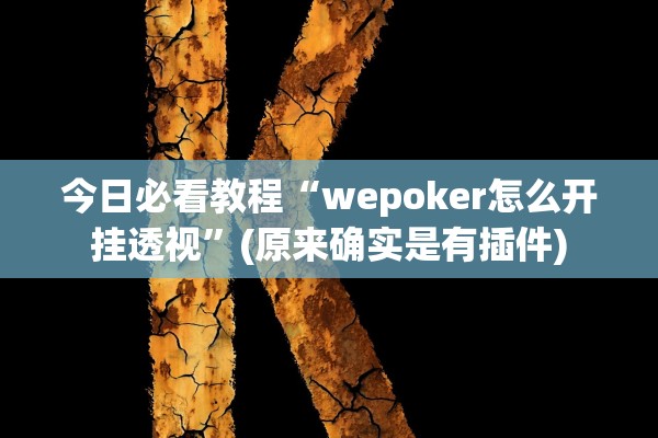 今日必看教程“wepoker怎么开挂透视”(原来确实是有插件)
