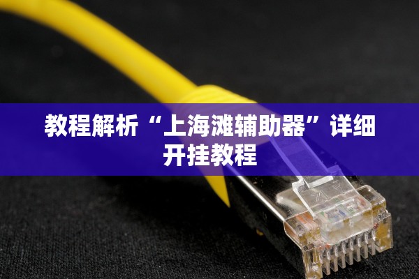 教程解析“上海滩辅助器”详细开挂教程