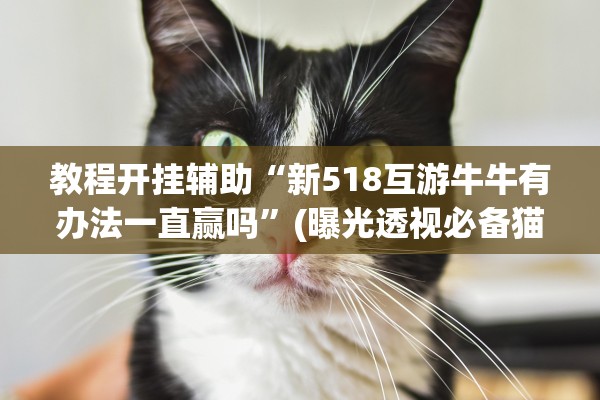 教程开挂辅助“新518互游牛牛有办法一直赢吗”(曝光透视必备猫腻)
