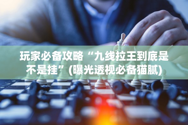 玩家必备攻略“九线拉王到底是不是挂”(曝光透视必备猫腻)