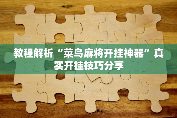 教程解析“菜鸟麻将开挂神器	”真实开挂技巧分享