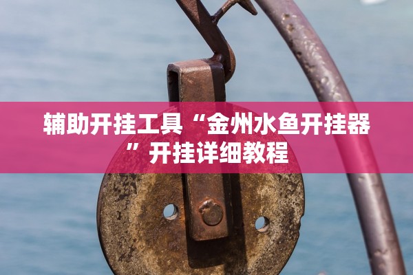辅助开挂工具“金州水鱼开挂器”开挂详细教程