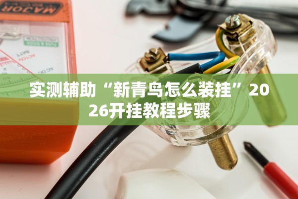 实测辅助“新青鸟怎么装挂”2026开挂教程步骤