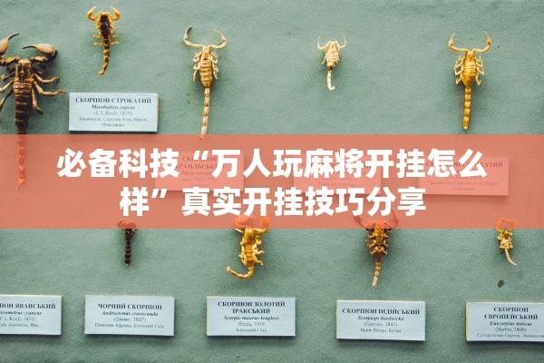 必备科技“万人玩麻将开挂怎么样	”真实开挂技巧分享