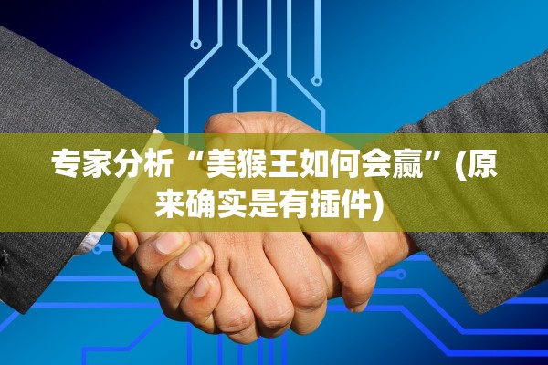 专家分析“美猴王如何会赢”(原来确实是有插件) 