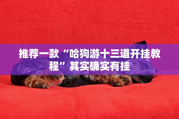推荐一款“哈狗游十三道开挂教程”其实确实有挂