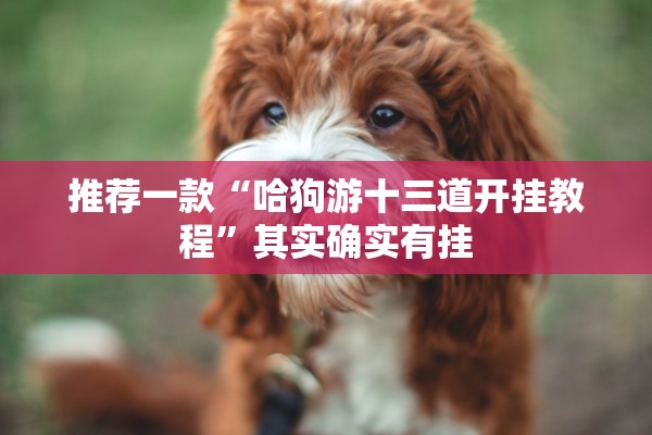 推荐一款“哈狗游十三道开挂教程”其实确实有挂