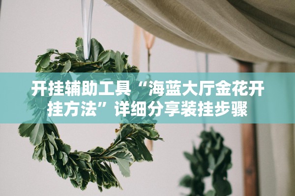 开挂辅助工具“海蓝大厅金花开挂方法”详细分享装挂步骤
