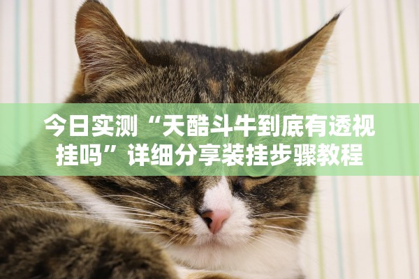 今日实测“天酷斗牛到底有透视挂吗”详细分享装挂步骤教程
