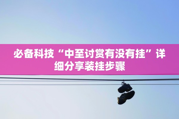 必备科技“中至讨赏有没有挂”详细分享装挂步骤