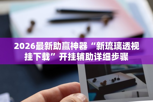 2026最新助赢神器“新琉璃透视挂下载”开挂辅助详细步骤