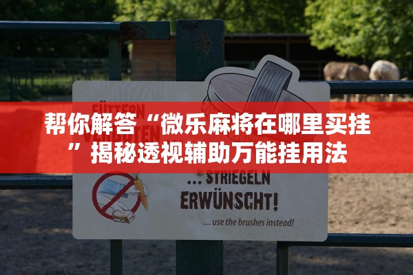 帮你解答“微乐麻将在哪里买挂”揭秘透视辅助万能挂用法