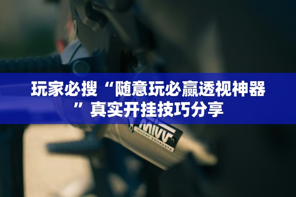 玩家必搜“随意玩必赢透视神器”真实开挂技巧分享