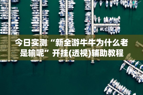 今日实测“新全游牛牛为什么老是输呢”开挂(透视)辅助教程
