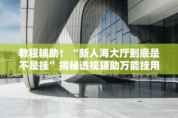 教程辅助！“新人海大厅到底是不是挂”揭秘透视辅助万能挂用法