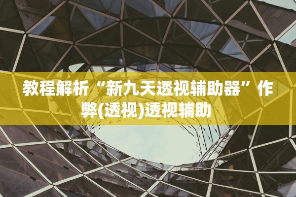 教程解析“新九天透视辅助器”作弊(透视)透视辅助 