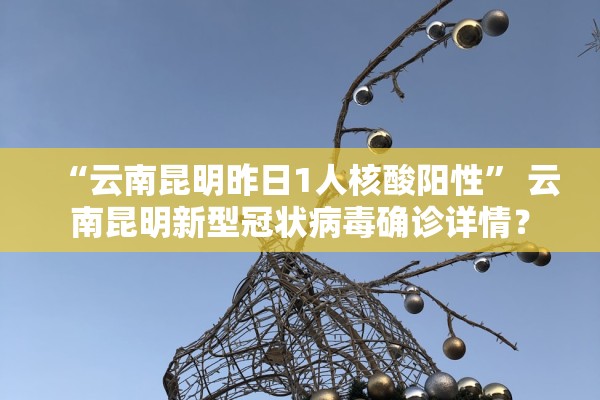 “云南昆明昨日1人核酸阳性	” 云南昆明新型冠状病毒确诊详情？