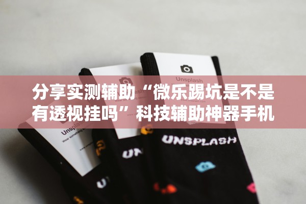 分享实测辅助“微乐踢坑是不是有透视挂吗”科技辅助神器手机版教程
