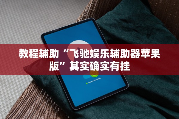 教程辅助“飞驰娱乐辅助器苹果版	”其实确实有挂