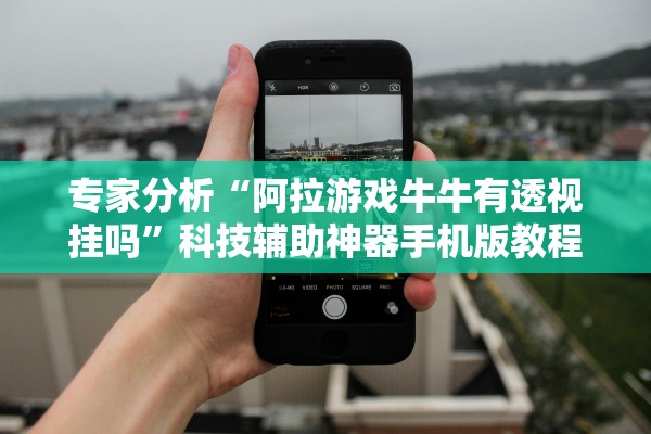 专家分析“阿拉游戏牛牛有透视挂吗”科技辅助神器手机版教程