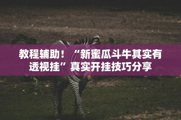 教程辅助！“新蜜瓜斗牛其实有透视挂”真实开挂技巧分享