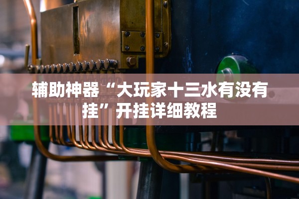辅助神器“大玩家十三水有没有挂”开挂详细教程