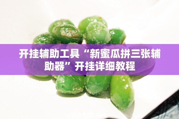 开挂辅助工具“新蜜瓜拼三张辅助器”开挂详细教程