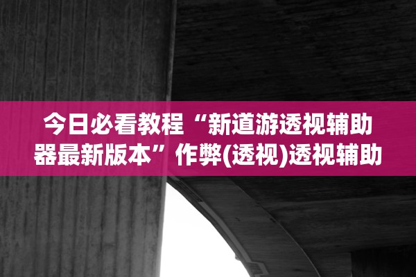 今日必看教程“新道游透视辅助器最新版本”作弊(透视)透视辅助 