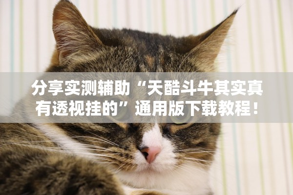 分享实测辅助“天酷斗牛其实真有透视挂的	”通用版下载教程！