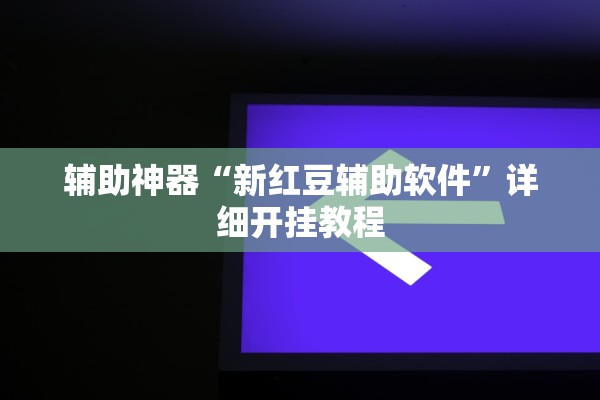 辅助神器“新红豆辅助软件”详细开挂教程
