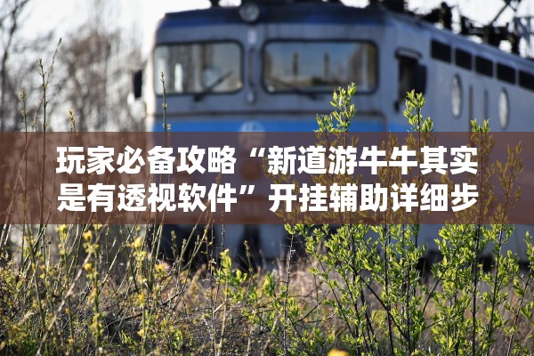 玩家必备攻略“新道游牛牛其实是有透视软件”开挂辅助详细步骤