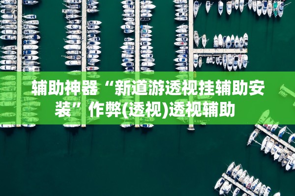 辅助神器“新道游透视挂辅助安装	”作弊(透视)透视辅助 