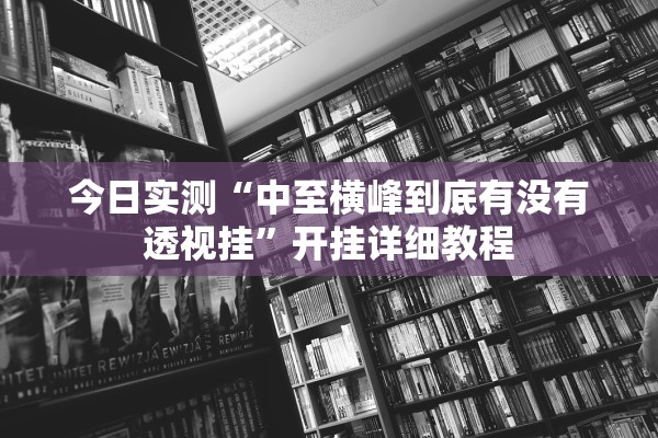 今日实测“中至横峰到底有没有透视挂”开挂详细教程