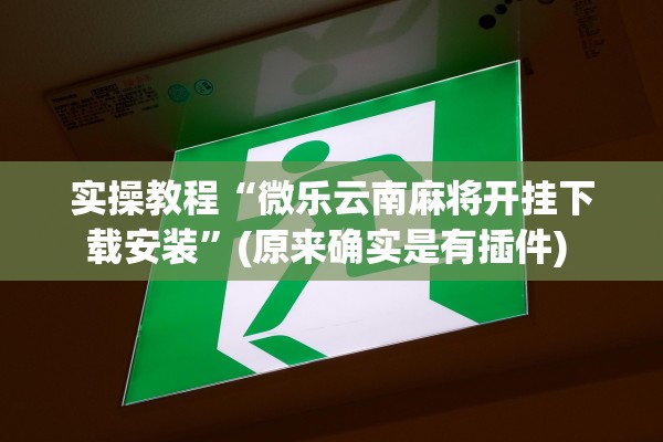 实操教程“微乐云南麻将开挂下载安装	”(原来确实是有插件) 