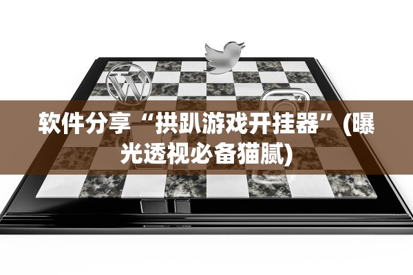 软件分享“拱趴游戏开挂器”(曝光透视必备猫腻)