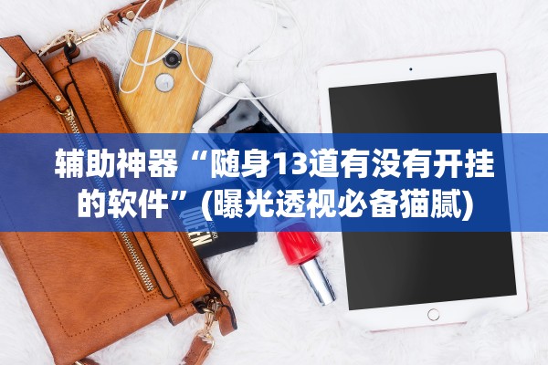 辅助神器“随身13道有没有开挂的软件”(曝光透视必备猫腻)