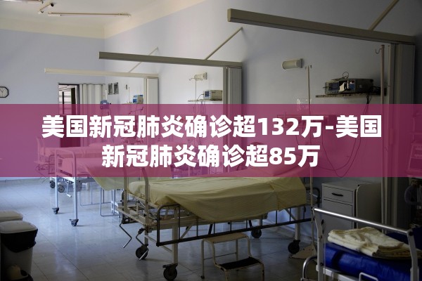 美国新冠肺炎确诊超132万-美国新冠肺炎确诊超85万