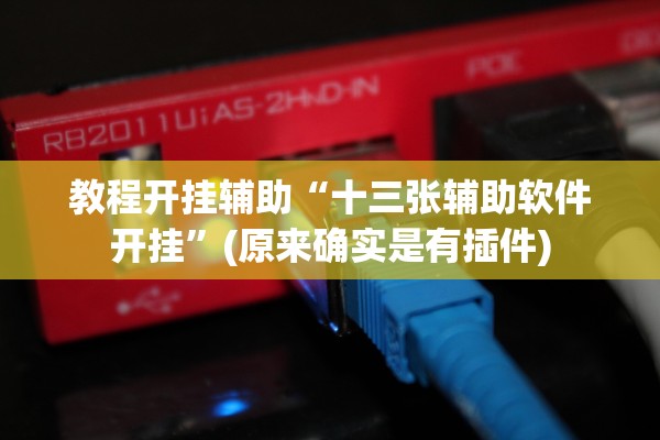 教程开挂辅助“十三张辅助软件开挂”(原来确实是有插件)