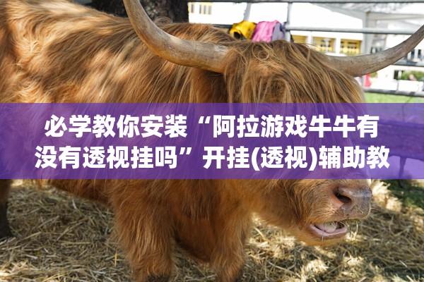 必学教你安装“阿拉游戏牛牛有没有透视挂吗”开挂(透视)辅助教程