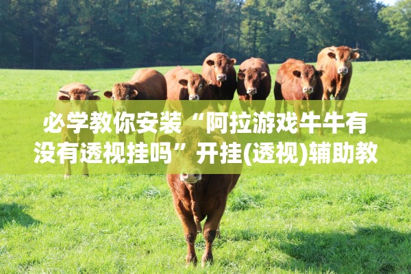 必学教你安装“阿拉游戏牛牛有没有透视挂吗”开挂(透视)辅助教程