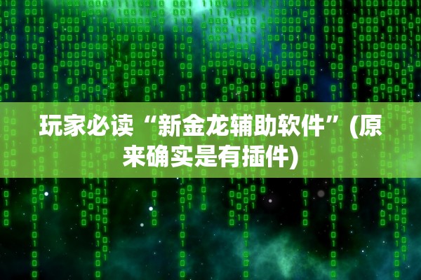 玩家必读“新金龙辅助软件”(原来确实是有插件)