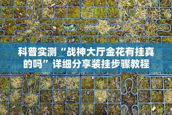 科普实测“战神大厅金花有挂真的吗”详细分享装挂步骤教程