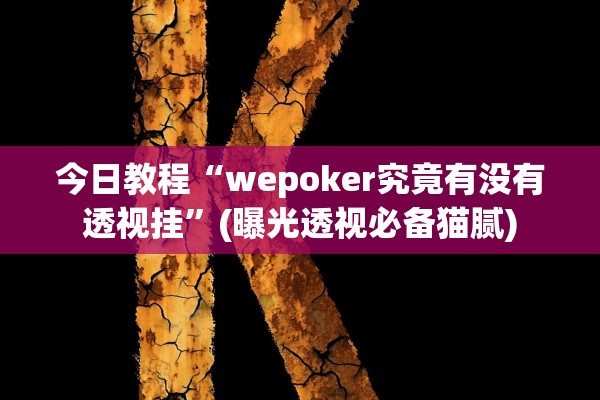 今日教程“wepoker究竟有没有透视挂”(曝光透视必备猫腻)